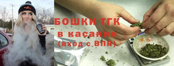 шишки Горно-Алтайск