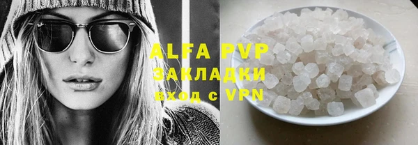 шишки Горно-Алтайск