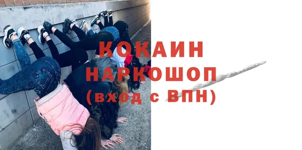 шишки Горно-Алтайск
