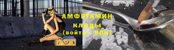 шишки Горно-Алтайск