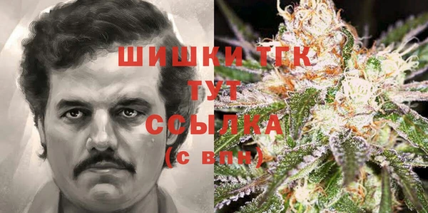 ГАЛЛЮЦИНОГЕННЫЕ ГРИБЫ Горнозаводск