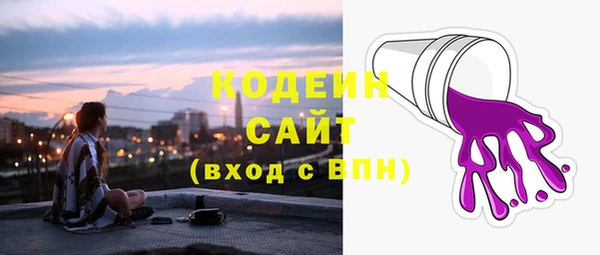 шишки Горно-Алтайск