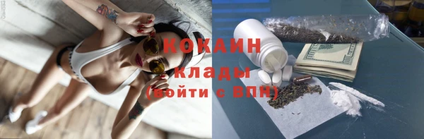 шишки Горно-Алтайск