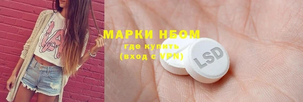 шишки Горно-Алтайск
