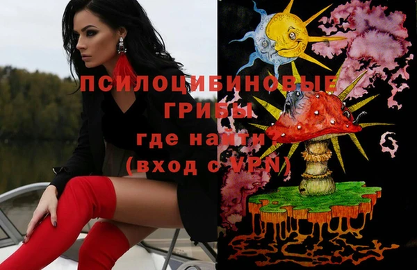 ГАЛЛЮЦИНОГЕННЫЕ ГРИБЫ Горнозаводск