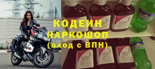 шишки Горно-Алтайск