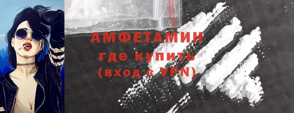 шишки Горно-Алтайск