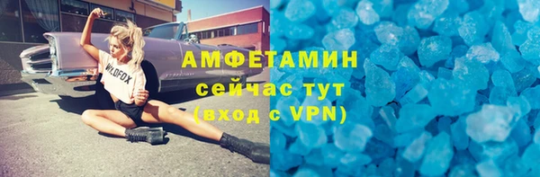 шишки Горно-Алтайск