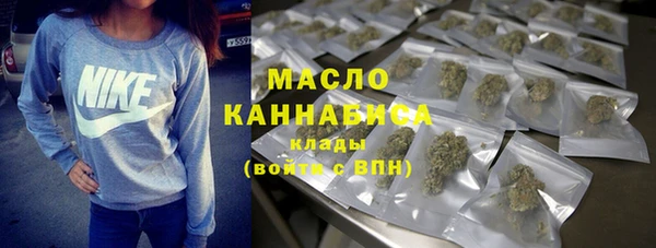 шишки Горно-Алтайск