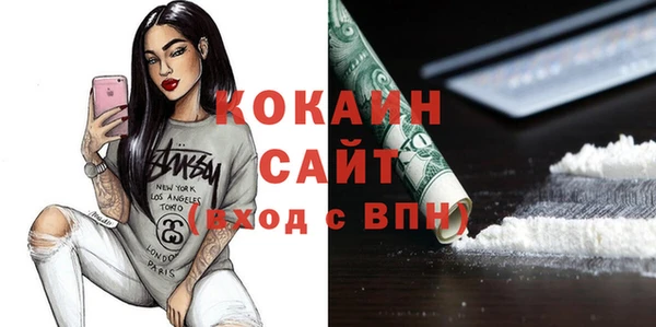 шишки Горно-Алтайск