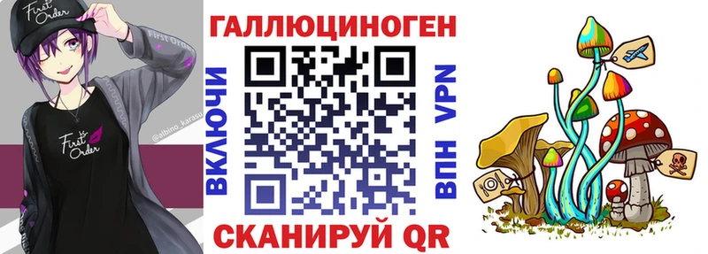 Галлюциногенные грибы Cubensis  Находка 